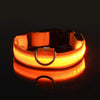 GASPAR ÉCLAT – LUMINOUS LED DOG LEASH AND COLLAR FOR SAFE NIGHT WALKS