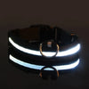 GASPAR ÉCLAT – LUMINOUS LED DOG LEASH AND COLLAR FOR SAFE NIGHT WALKS