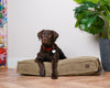 MEMORY FOAM DOG BED - ORTHOPEDIC, DURABLE, & HYPOALLERGENIC FOR ULTIMATE COMFORT