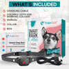 CANINECARE – BARKEASE NO-BARK COLLAR FOR SMALL DOGS | SAFE AND EFFECTIVE