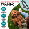 CANINECARE – BARKEASE NO-BARK COLLAR FOR SMALL DOGS | SAFE AND EFFECTIVE