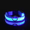 GASPAR ÉCLAT – LUMINOUS LED DOG LEASH AND COLLAR FOR SAFE NIGHT WALKS