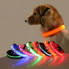 GASPAR ÉCLAT – LUMINOUS LED DOG LEASH AND COLLAR FOR SAFE NIGHT WALKS