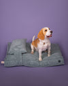 MEMORY FOAM DOG BED - ORTHOPEDIC, DURABLE, & HYPOALLERGENIC FOR ULTIMATE COMFORT