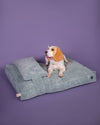 MEMORY FOAM DOG BED - ORTHOPEDIC, DURABLE, & HYPOALLERGENIC FOR ULTIMATE COMFORT