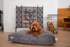 MEMORY FOAM DOG BED - ORTHOPEDIC, DURABLE, & HYPOALLERGENIC FOR ULTIMATE COMFORT