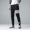 VARSITY PREMIUM QUICK-DRY JOGGERS FOR MEN