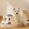 AUTOMATIC PET FEEDER WITH WATER FOUNTAIN - RAISED BOWL SET FOR CATS & DOGS