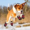 HENRI MARCHEUR – NON-SLIP DOG BOOTS FOR SAFE ADVENTURES