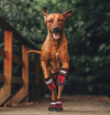 HENRI MARCHEUR – NON-SLIP DOG BOOTS FOR SAFE ADVENTURES