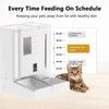 2-IN-1 SMART PET FEEDER & WATER FOUNTAIN - AUTOMATIC DISPENSER WITH CAMERA FOR CATS & DOGS