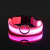 GASPAR ÉCLAT – LUMINOUS LED DOG LEASH AND COLLAR FOR SAFE NIGHT WALKS