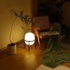 CESTA TABLE LAMP