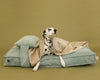 MEMORY FOAM DOG BED - ORTHOPEDIC, DURABLE, & HYPOALLERGENIC FOR ULTIMATE COMFORT