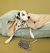 MEMORY FOAM DOG BED - ORTHOPEDIC, DURABLE, & HYPOALLERGENIC FOR ULTIMATE COMFORT