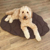 LEAF SHAPE DOG BLANKET, COZY MULTI-FUNCTIONAL PET BLANKET