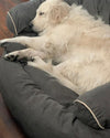 WARM SOFA PET BED - COZY & PORTABLE DOG AND CAT BED WITH NON-SLIP BOTTOM