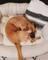 WARM SOFA PET BED - COZY & PORTABLE DOG AND CAT BED WITH NON-SLIP BOTTOM